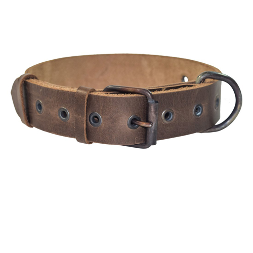 Aviator Leather Dog Collar