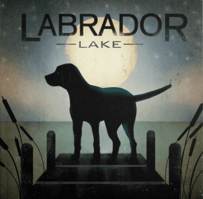 dog lake water dock fishing black dog