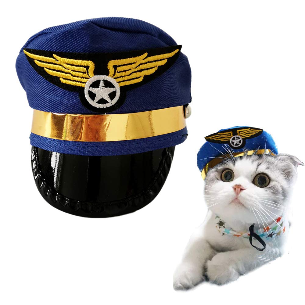 pilot flight dog cat hat