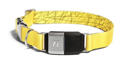 Yellow Fi Dog Collar GPS