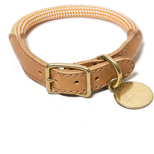 Leather and Climbing Rope Dog Collar