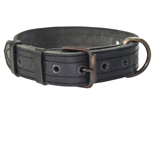 Vintage Leather Dog Collar