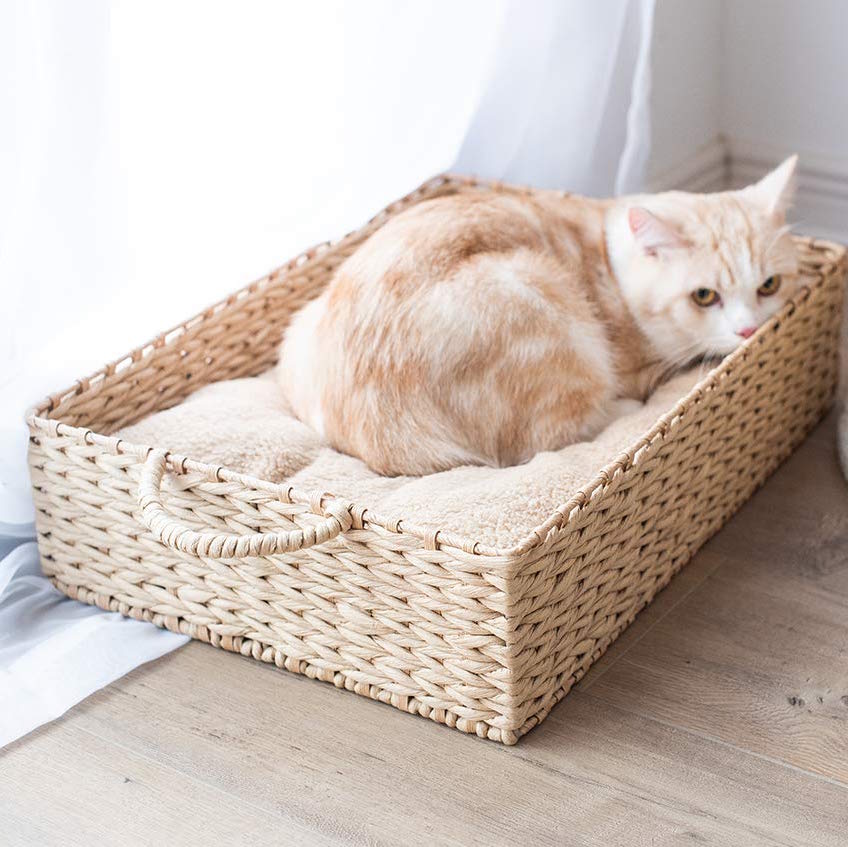 wicker cat bed basket