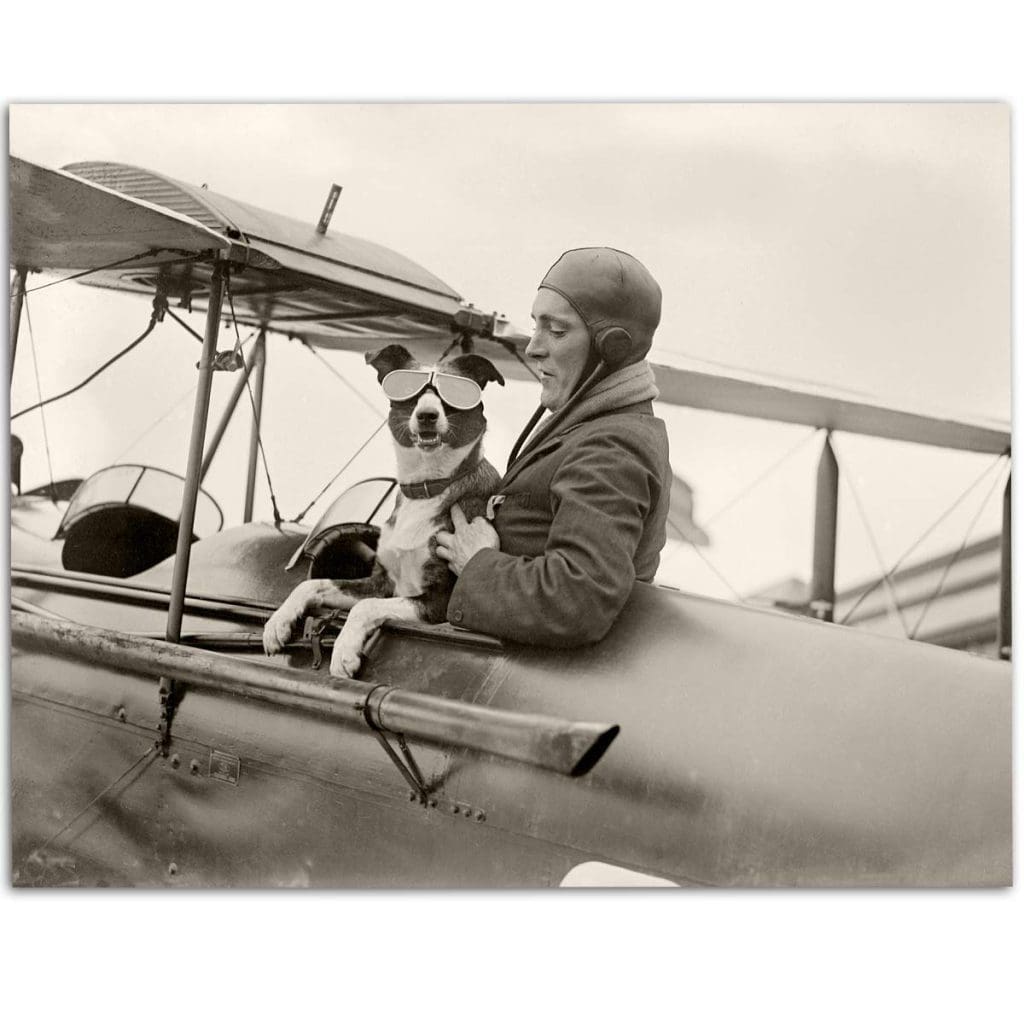 Vintage Pilot Plane and Dog Photo