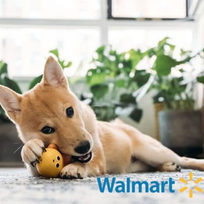 walmart pets dogs cats supplies puppy starter kit new pet rescue dog what do i need best prices