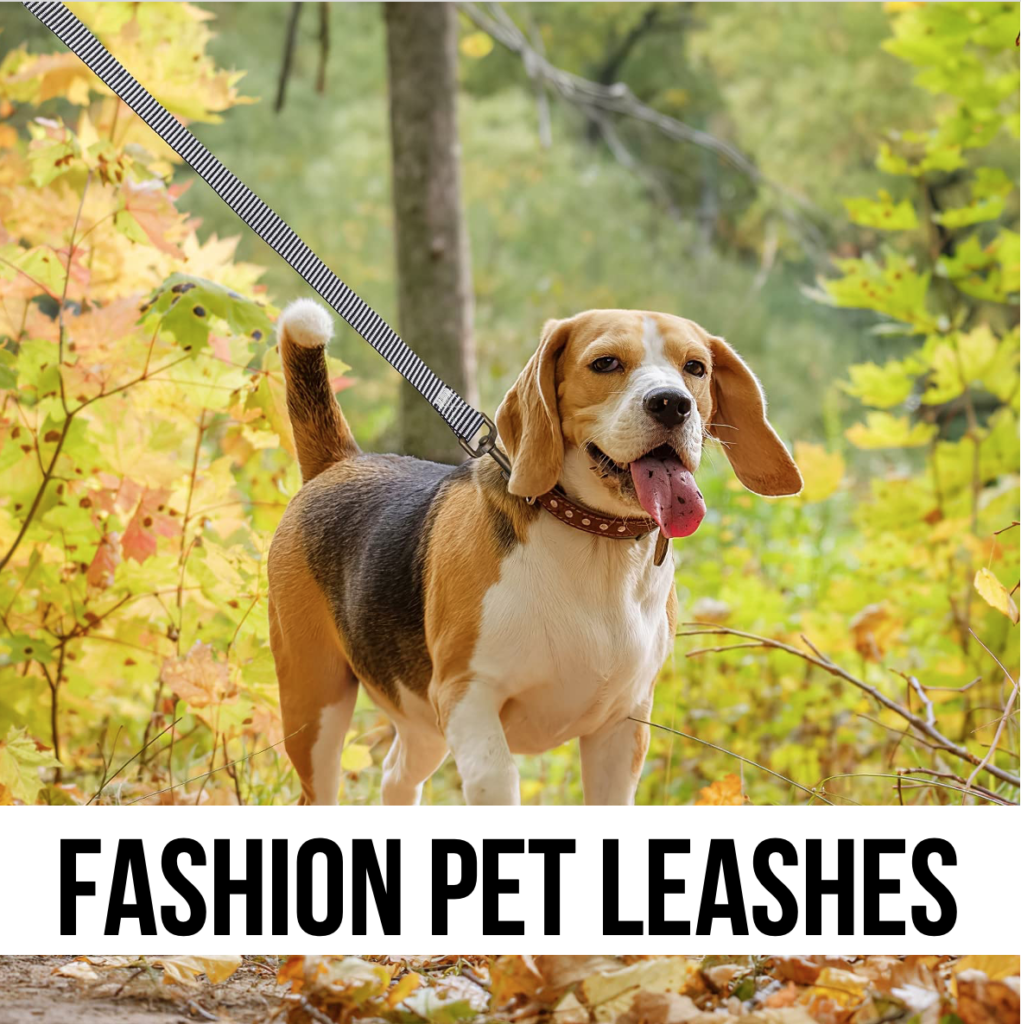 Fashion stylish trendy dog leash leashes pet supplies