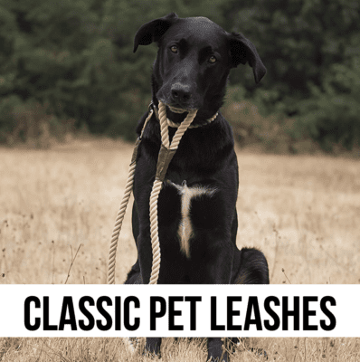 basic classic dog cat pet leash leashes
