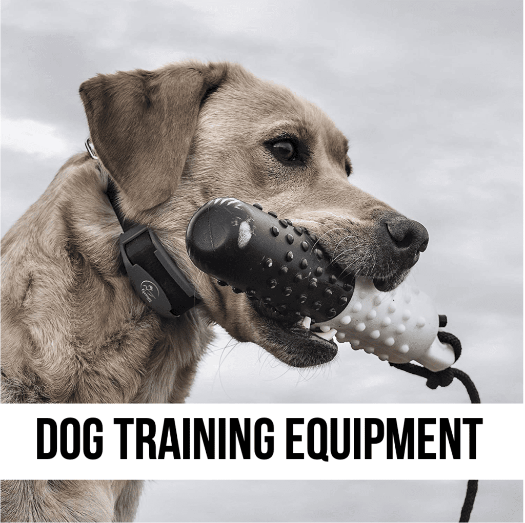 LEAD dog pet cat training supplies equipment tools