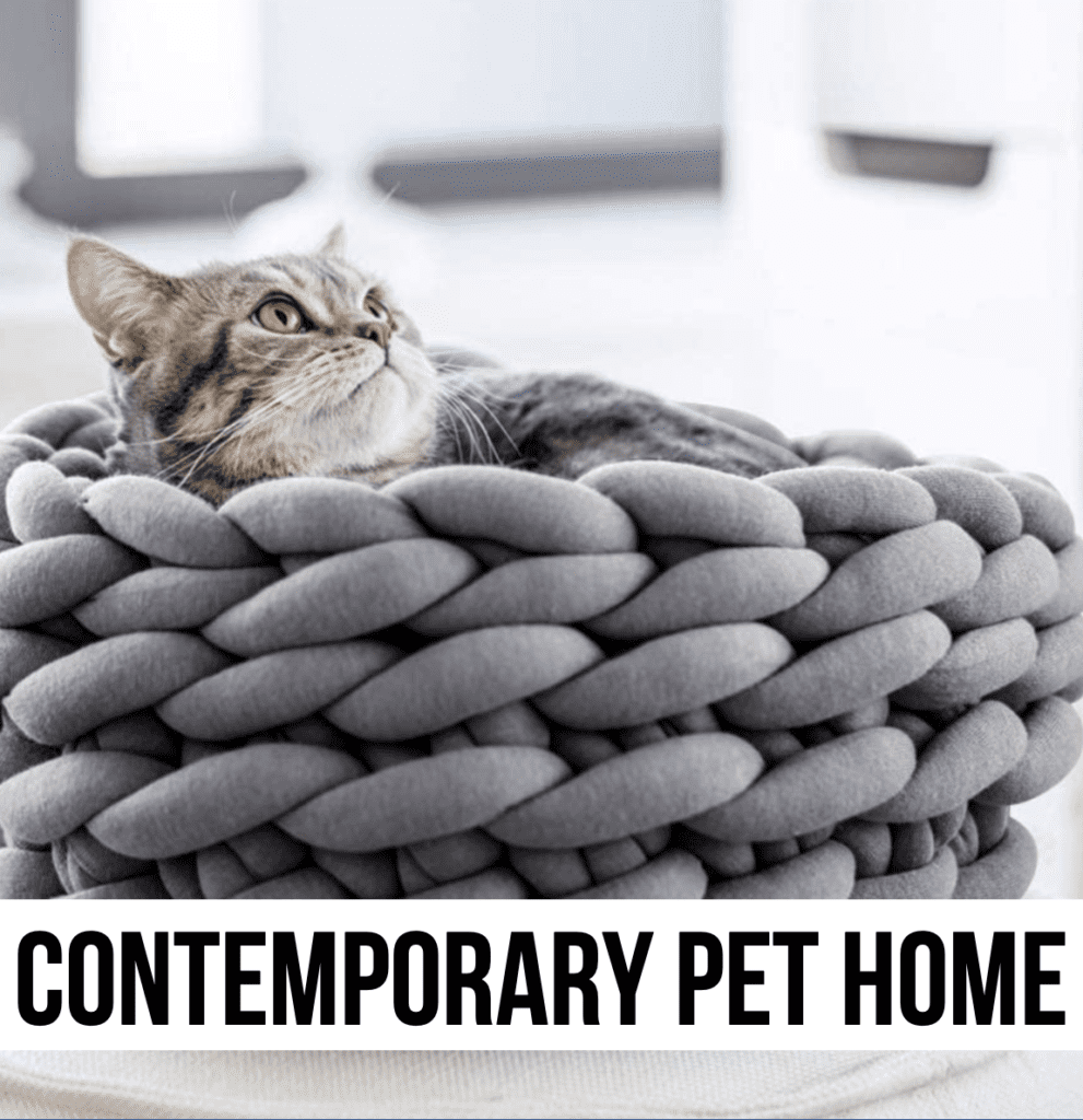 LEAD contemporary modern urban pet supplies accents decor