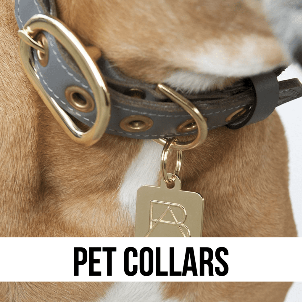 dog cat pet collars collar leather quality