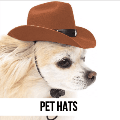 LEAD dog cat pet hats costume cute helmet protection