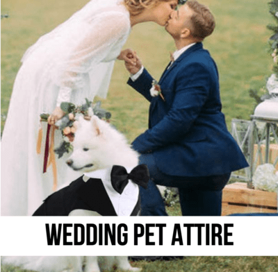 LEAD pet dog cat wedding attire costume leash decor gift shower