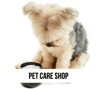 LEAD pet dog cat puppy kitten care supplies repair emergency ideas blog expert advice