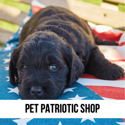 LEAD 4TH july patriotic memorial labor day dog cat pet decor gift decorations party supplies flag red white blue