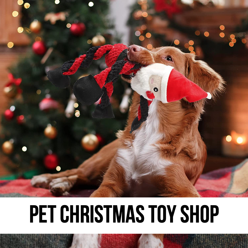 dog christmas toys play games shop