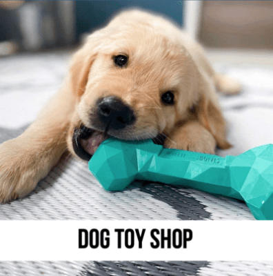 LEAD DOG TOY SHOP biggest largest dog puppy toy pet gift shop