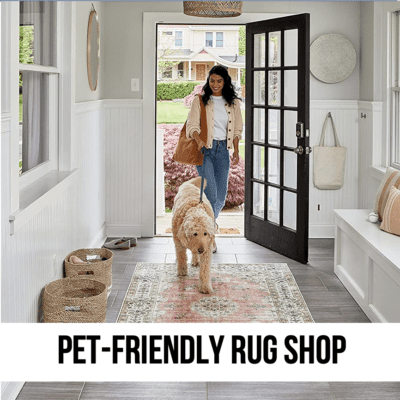 LEAD what are the best rugs for pet home dog cat designer unique trendy chic industrial