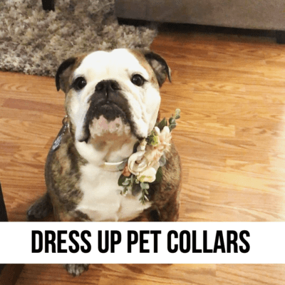 LEAD dog cat pet wedding dressy dress up costume collars gift baby shower