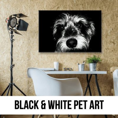 black white art shop store online dog cat pet animal
