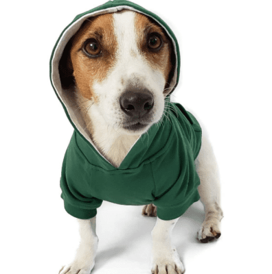 green white dog hoodie shirt sweatshirt supplies green 