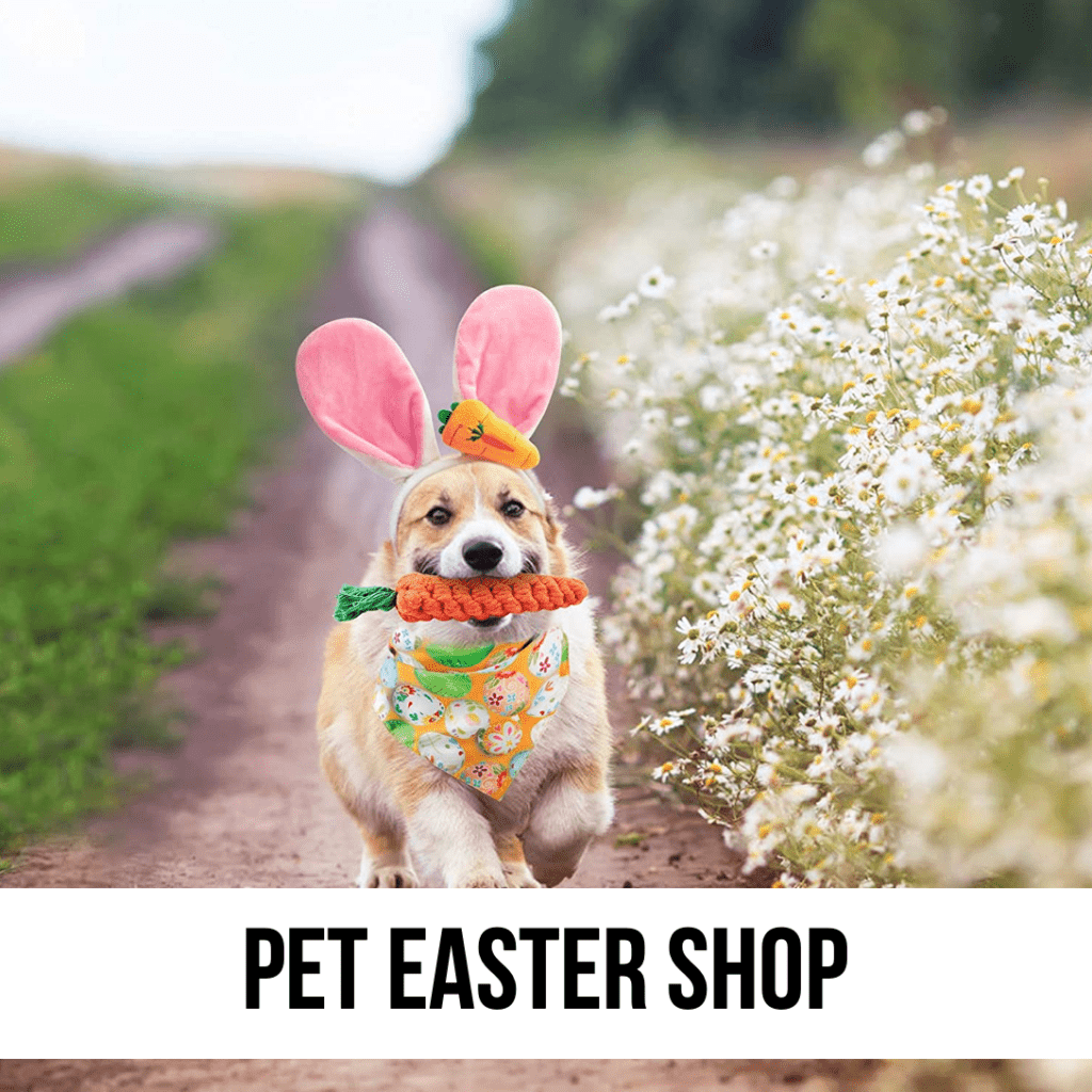 LEAD easter dog bunny ears cat costume photo gift