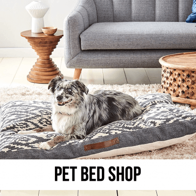 dog cat pet bed sleep shop supplies furniture