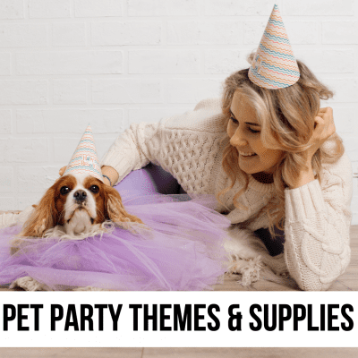 party theme ideas for pet dog cat baby wedding kids children