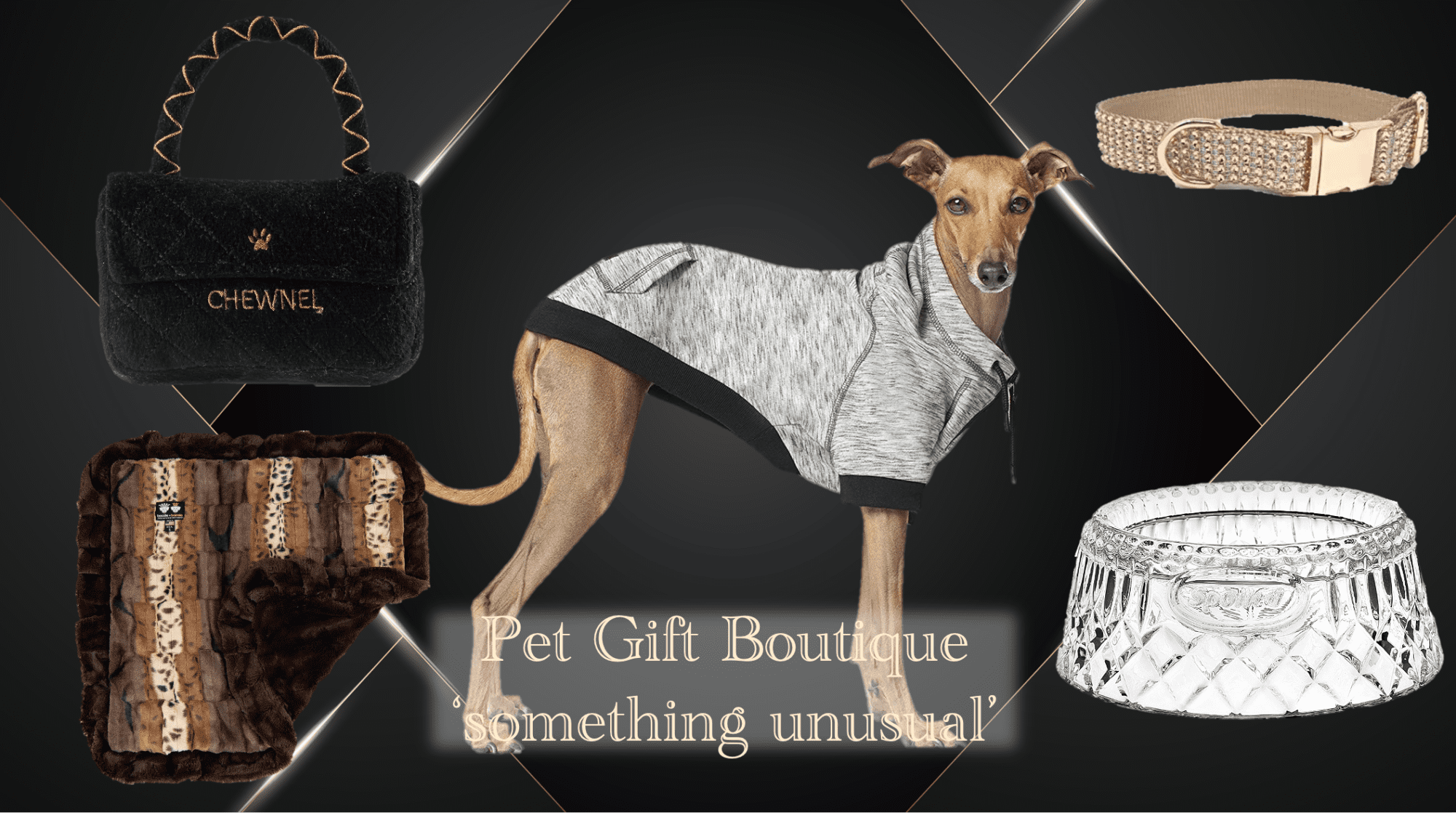 luxury boutique dog cat pet gift store shop