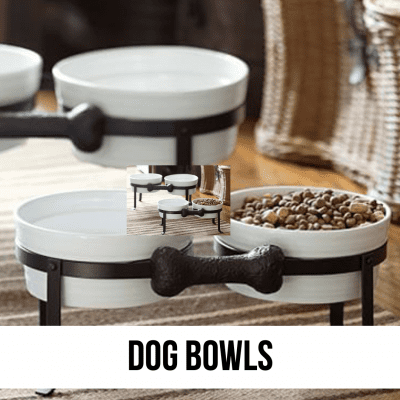 dog bowl shop bowls puppy designer gift unique by color by size