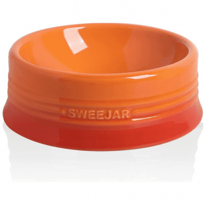 orange pet cat dog food water bowl