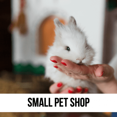 LEAD small pet rabbit dwarf hamster hedgehog