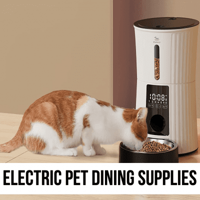 cat automatic electric pet bowl gift tabby