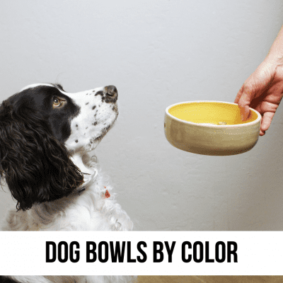 dog bowls by color