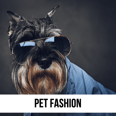 pet fashion shop supplies coats jackets accessories costumes