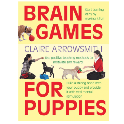 brain games for puppies pup puppy dog