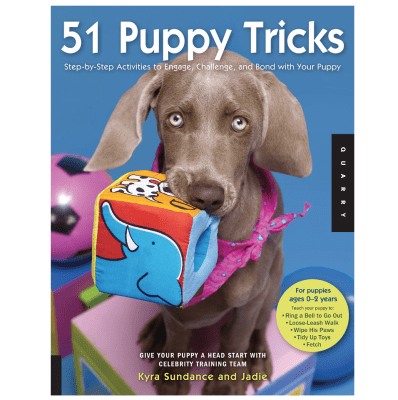 dog trick book tricks puppy training 