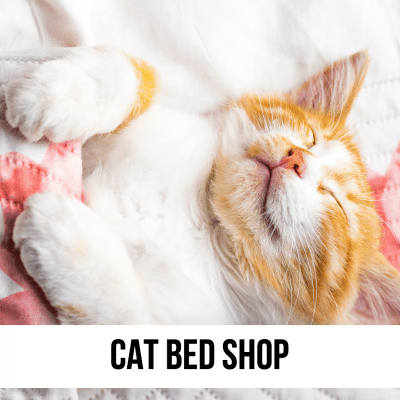 cat kitten feline bed beds home decor corner room ideas diy