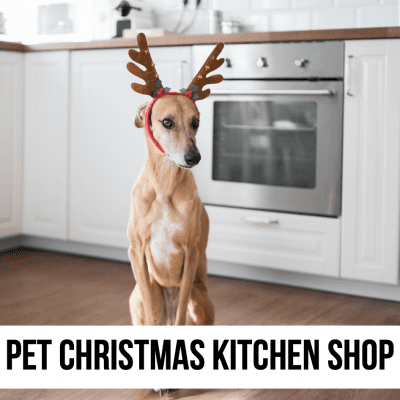 holiday christmas kitchen gift dog cat pet