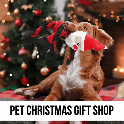 dog cat pet gift holiday christmas toy stocking stuffer