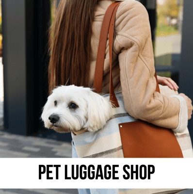 pet dog cat luggage tote travel commute