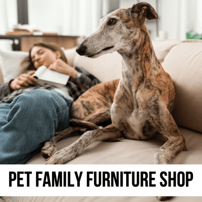 pet family furniture shop store supplies accent table rug decor art gifts