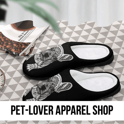 dog cat pet lover slippers shirt sweatshirt pajamas pjs outfit family