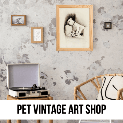 pet dog cat art vintage antique