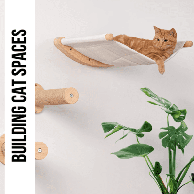building cat spaces decor room how to diy