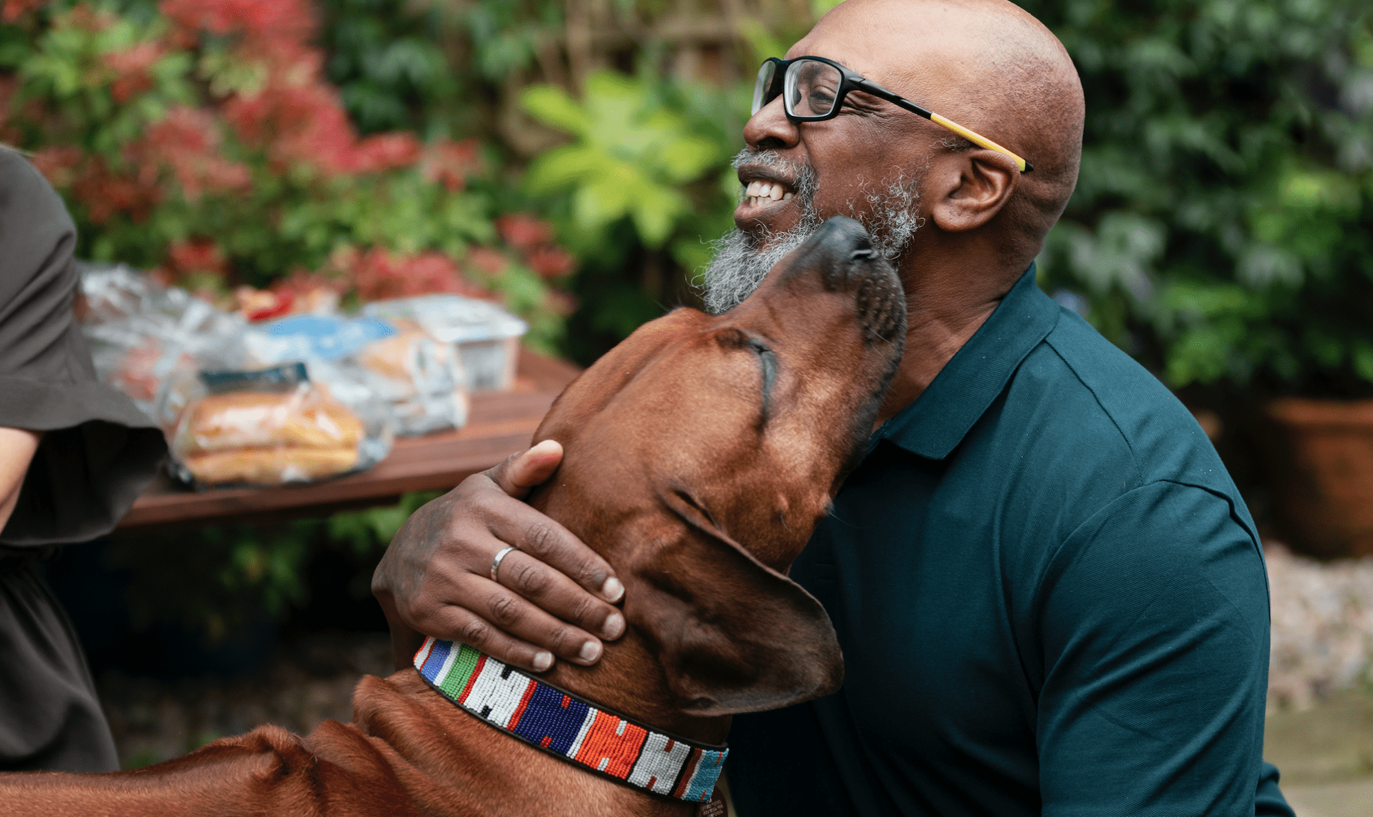 older man with dog best breed to adopt