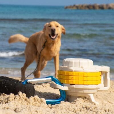 dog beach supplies leash chain