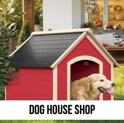 explore making a custom dog house to fit your design style