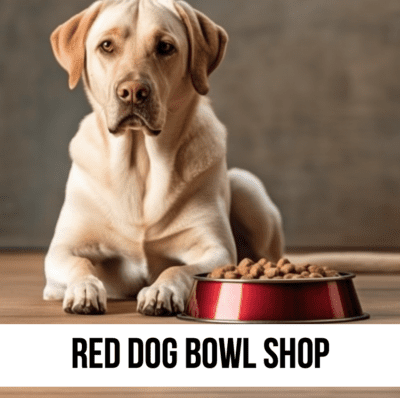 designer dog bowl shop