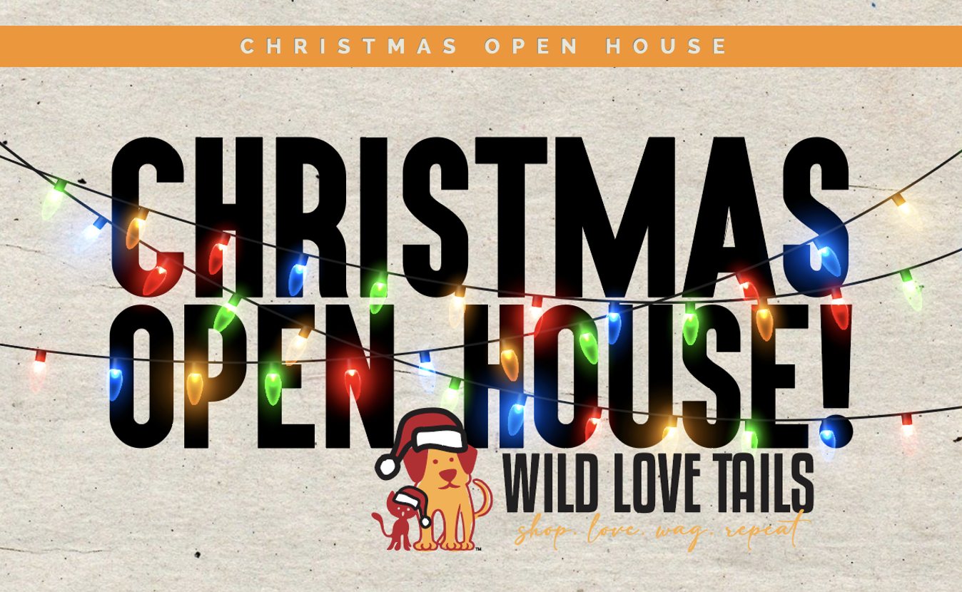 2024 Christmas Virtual Open House Inspiration, Ideas, Gifts