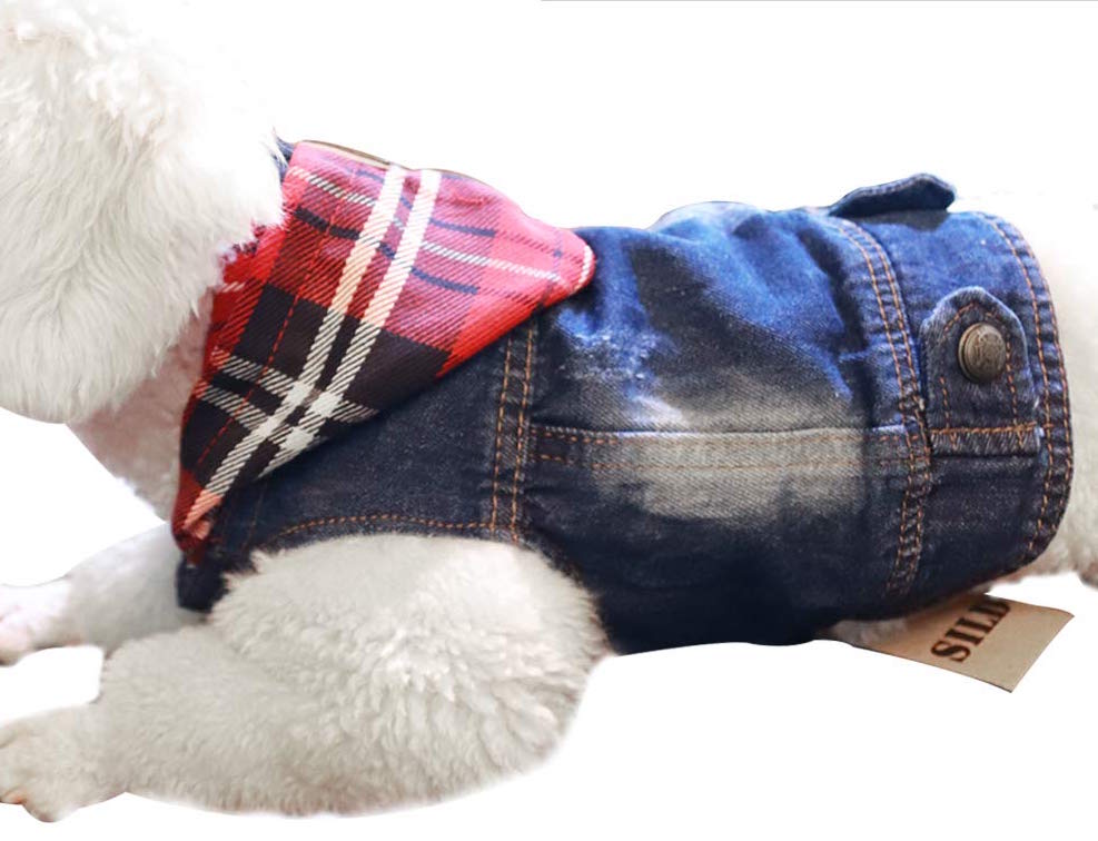 unique dog clothes, jackets, costumes and for all dog sizes and breeds